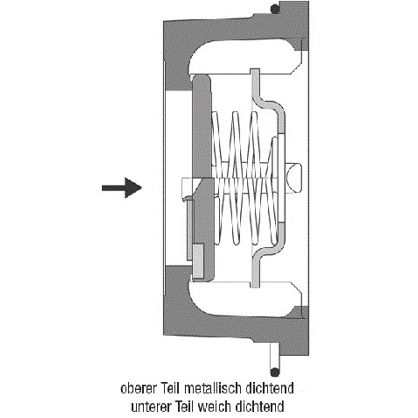 GESTRA RK41 Rückschlagventil DN50 PN6-16 - 1021800